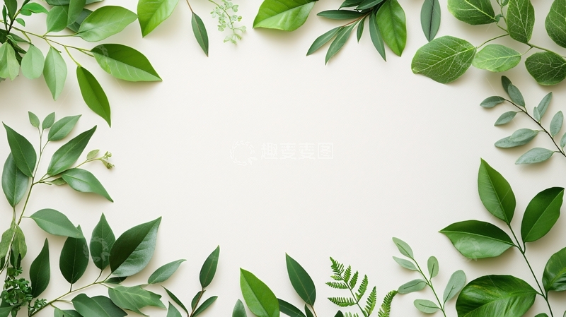 高清大图下载【趣麦麦图】清新绿叶环绕留白背景