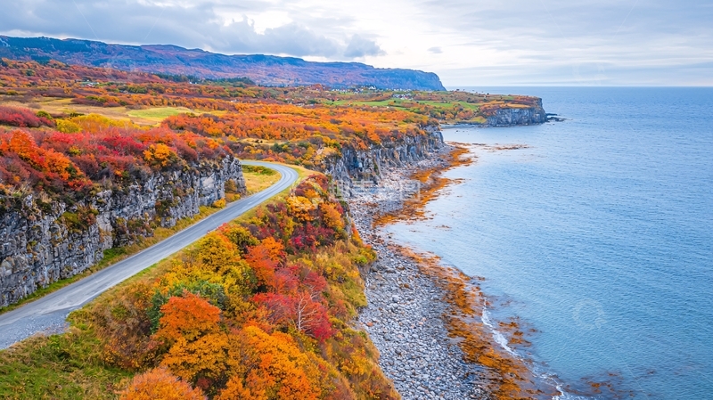 高清大图下载【趣麦麦图】海岸线秋色正浓