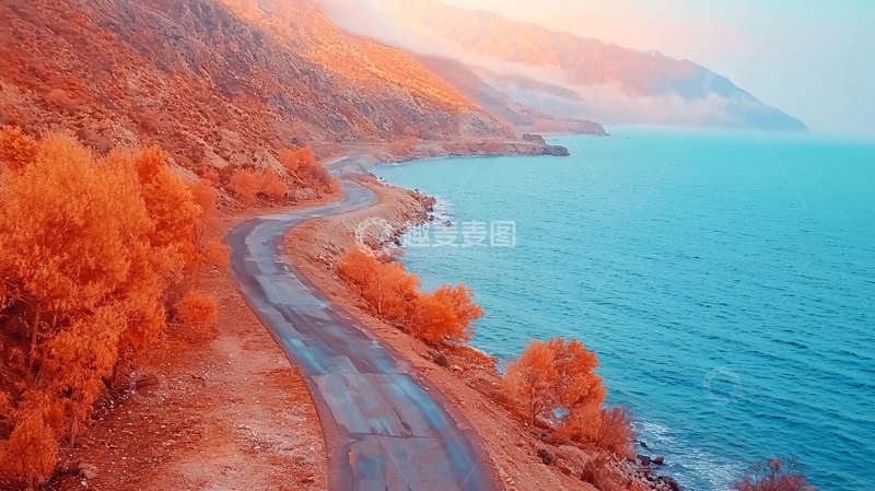 高清大图下载【趣麦麦图】橙色树木蓝色海岸线