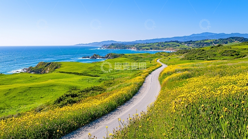 高清大图下载【趣麦麦图】海边草地小路