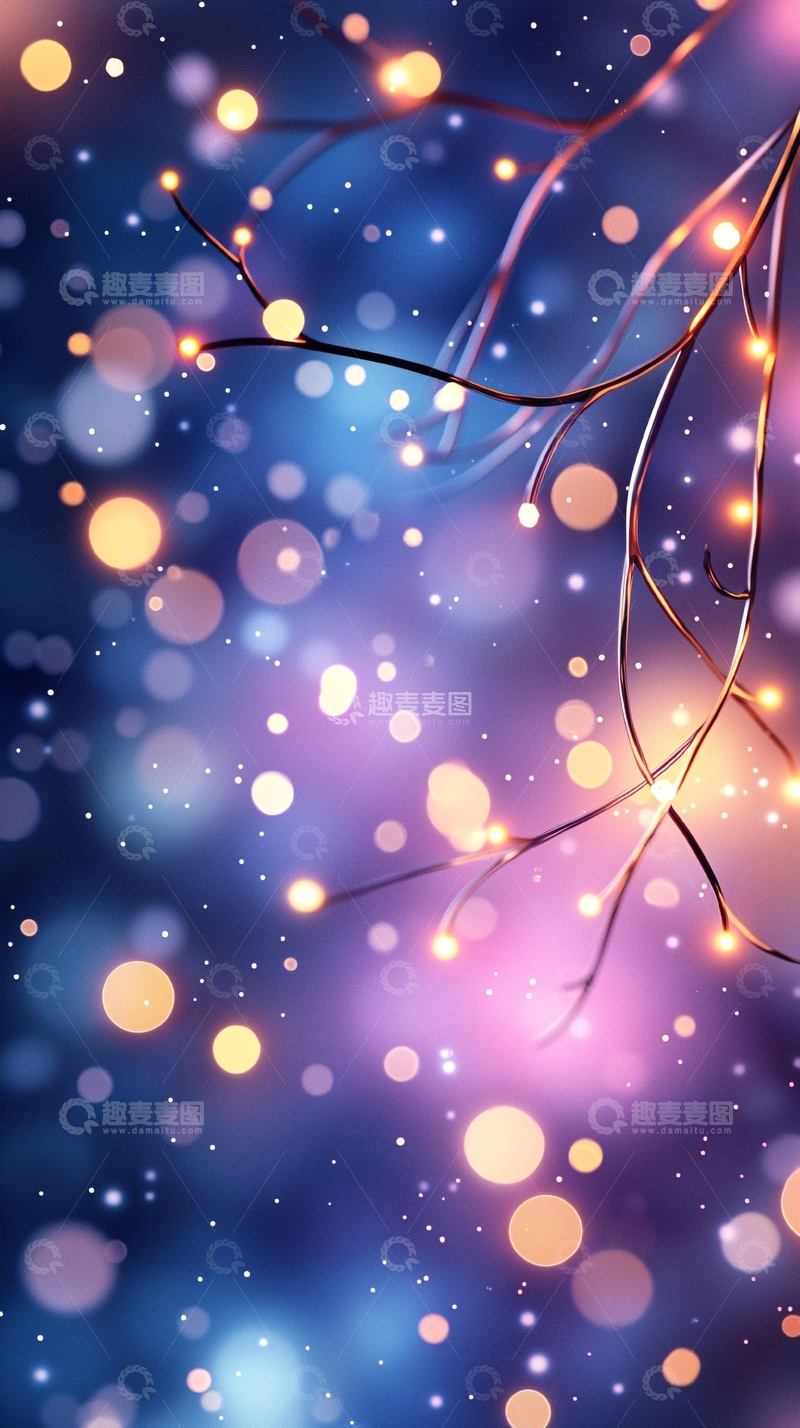 高清大图下载【趣麦麦图】梦幻星空光斑树枝