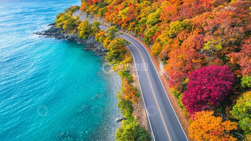 高清大图下载【趣麦麦图】秋季海岸公路