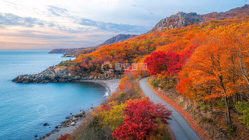 高清大图下载【趣麦麦图】秋季海边公路风景