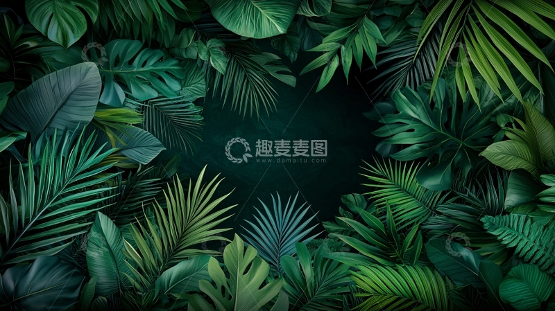 高清大图下载【趣麦麦图】茂密的热带雨林植物