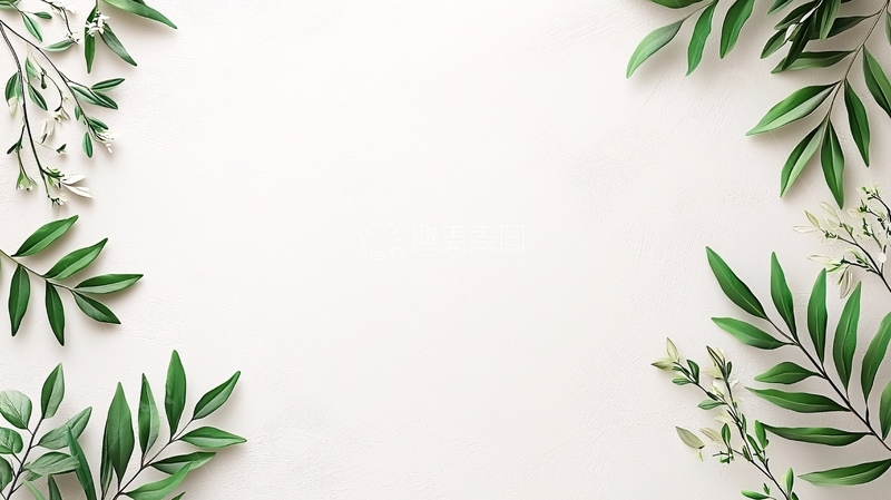 高清大图下载【趣麦麦图】绿叶边框白色背景