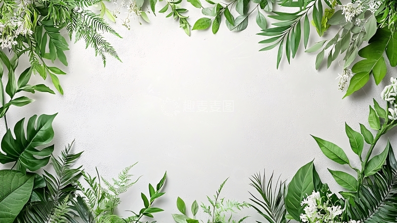 高清大图下载【趣麦麦图】绿植环绕的空白背景