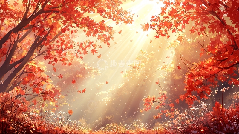 高清大图下载【趣麦麦图】秋日阳光下的红叶林