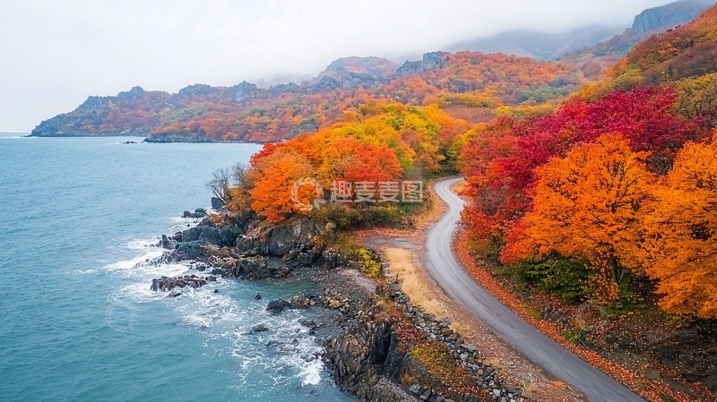 高清大图下载【趣麦麦图】海岸线边的秋色公路