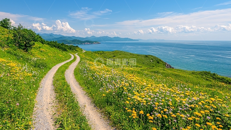 高清大图下载【趣麦麦图】蜿蜒小路通向海边