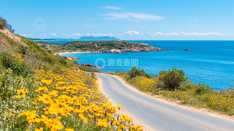高清大图下载【趣麦麦图】海边公路鲜花盛开
