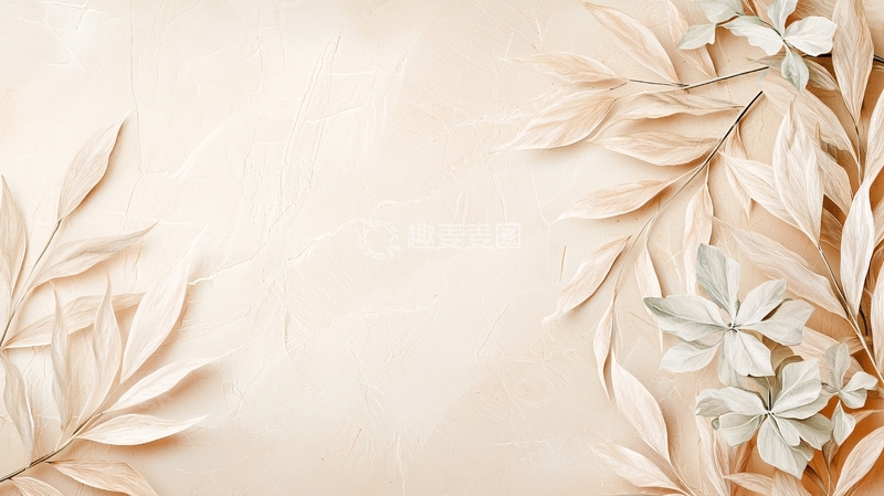 高清大图下载【趣麦麦图】米色背景上的植物叶子