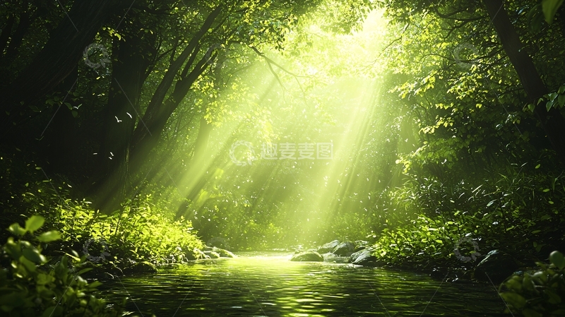 高清大图下载【趣麦麦图】阳光穿透森林树叶