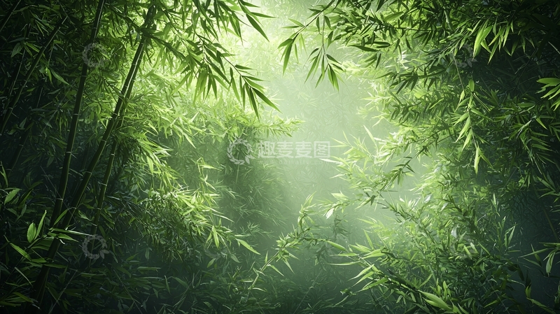 高清大图下载【趣麦麦图】竹林幽径高清图片