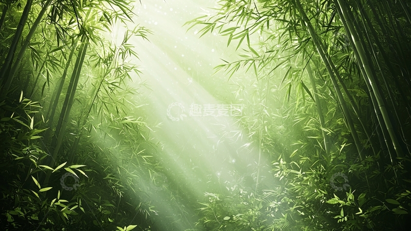 高清大图下载【趣麦麦图】翠绿竹林阳光穿透