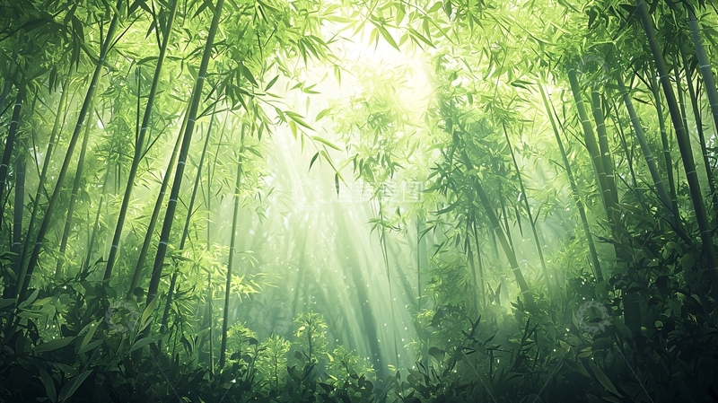 高清大图下载【趣麦麦图】竹林阳光穿透向上视角