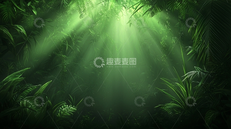 高清大图下载【趣麦麦图】光线穿透热带雨林