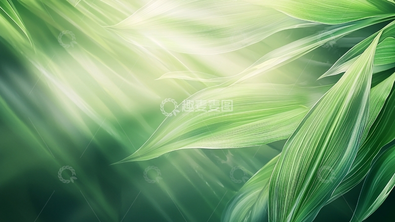 高清大图下载【趣麦麦图】绿色叶片光影背景