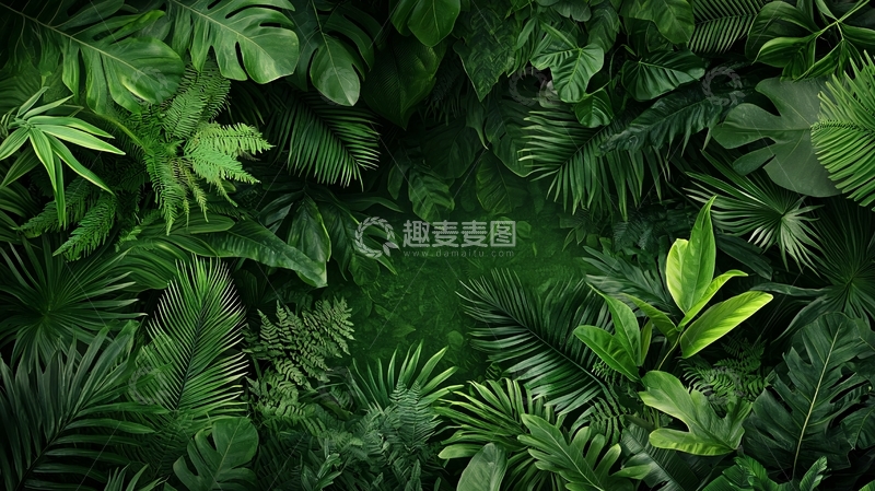 高清大图下载【趣麦麦图】茂密的热带绿色植物