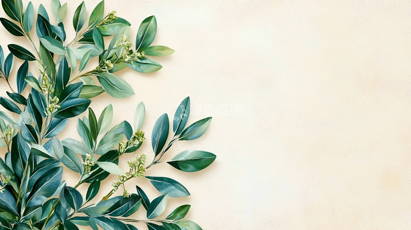 高清大图下载【趣麦麦图】绿叶植物清新留白背景