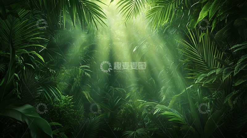 高清大图下载【趣麦麦图】热带雨林阳光穿透绿叶