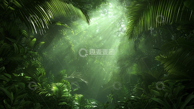 高清大图下载【趣麦麦图】茂密丛林光线穿透