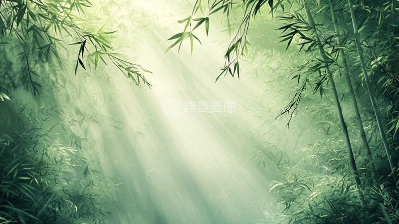 高清大图下载【趣麦麦图】阳光穿透竹林的光线