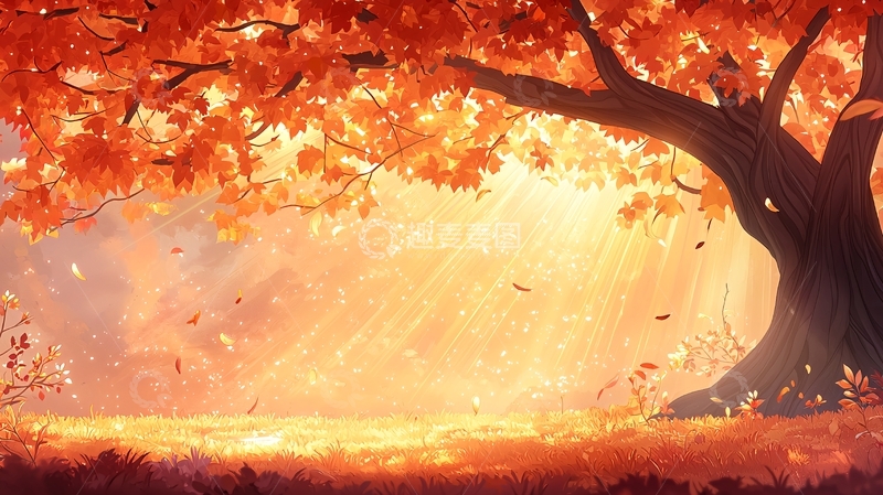高清大图下载【趣麦麦图】秋日阳光下的树