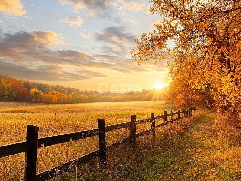 高清大图下载【趣麦麦图】秋日夕阳下的田园风光