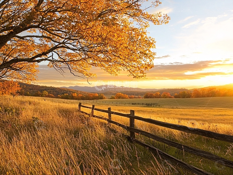 高清大图下载【趣麦麦图】秋日田野金色阳光