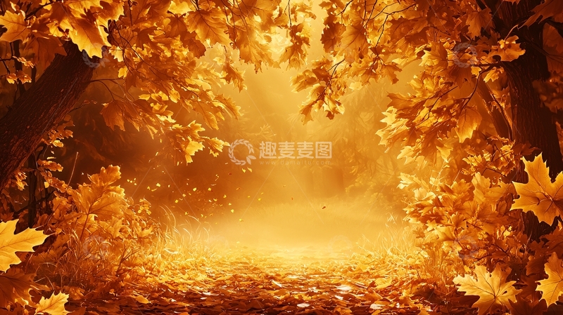 高清大图下载【趣麦麦图】金色秋叶环绕的光明通道