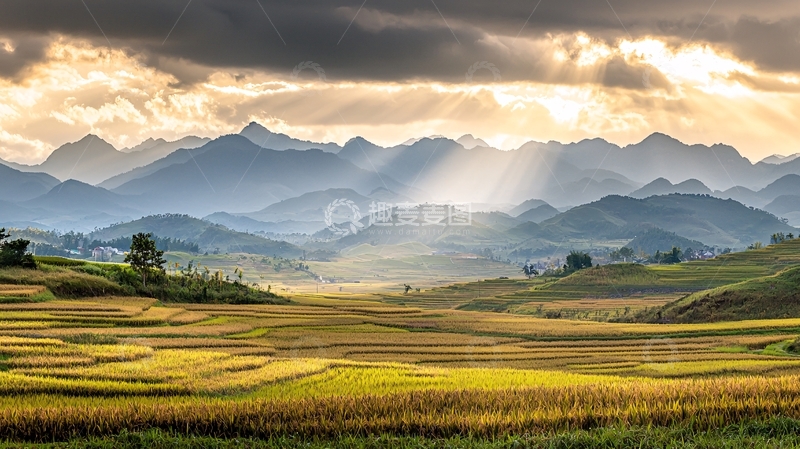 高清大图下载【趣麦麦图】金色稻田山脉