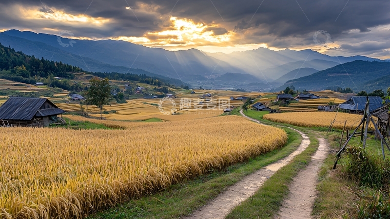 高清大图下载【趣麦麦图】稻田山谷间的乡村风光