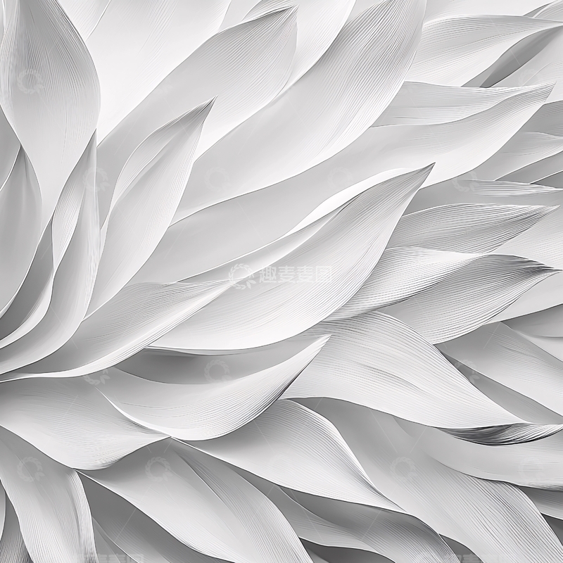 高清大图下载【趣麦麦图】白色花瓣的特写