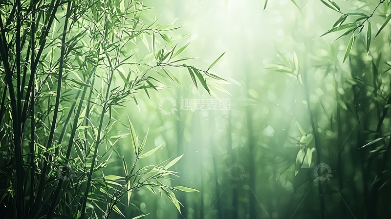 高清大图下载【趣麦麦图】竹林光影高清图片