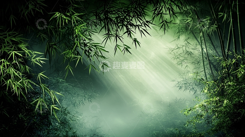 高清大图下载【趣麦麦图】森林光线朦胧意境