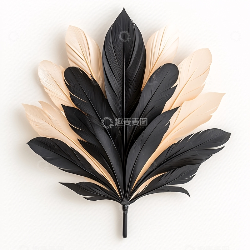 高清大图下载【趣麦麦图】黑色米色羽毛组合