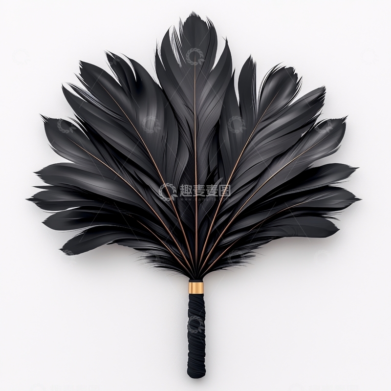 高清大图下载【趣麦麦图】黑色羽毛扇子