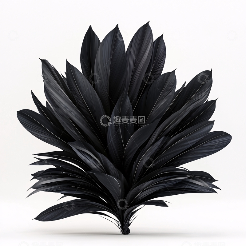 高清大图下载【趣麦麦图】黑色叶子植物