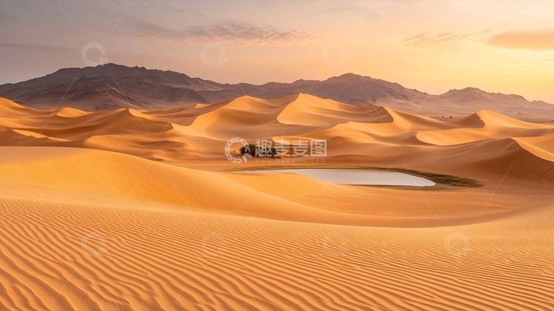 高清大图下载【趣麦麦图】金色沙漠中的绿洲