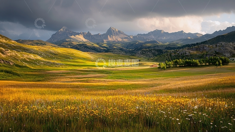 高清大图下载【趣麦麦图】辽阔的金色田野