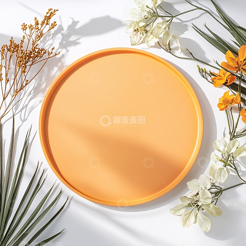 高清大图下载【趣麦麦图】橙色圆形托盘