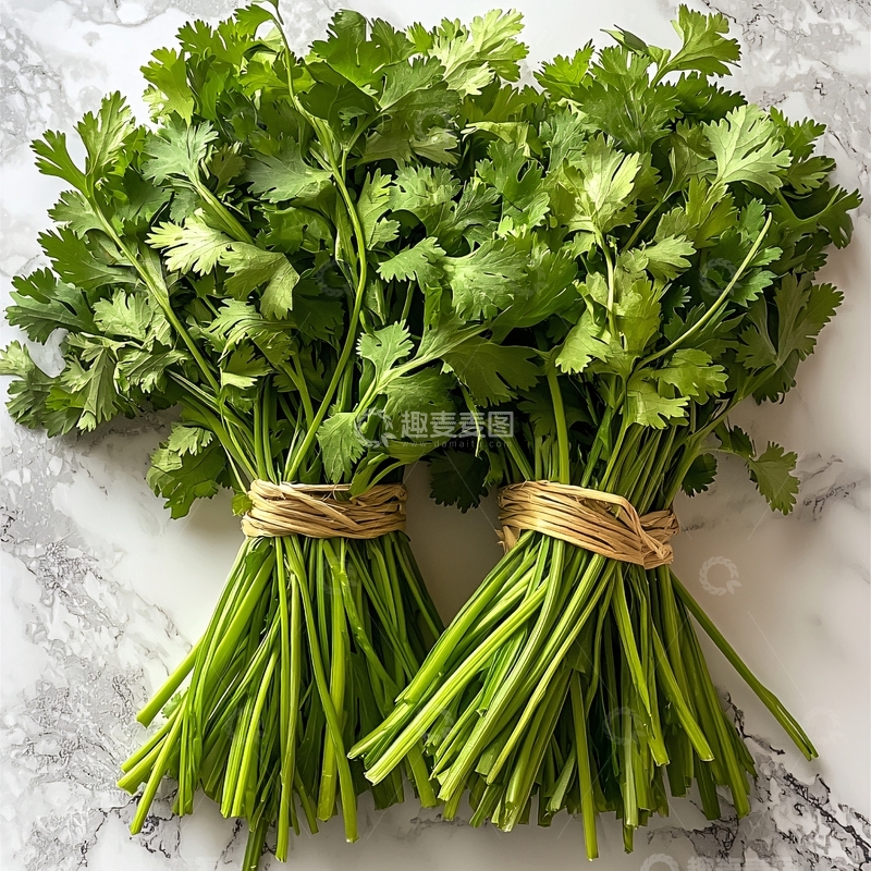 高清大图下载【趣麦麦图】新鲜香菜两束