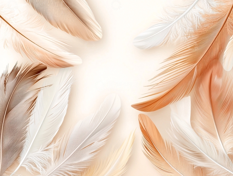 高清大图下载【趣麦麦图】轻柔羽毛特写背景