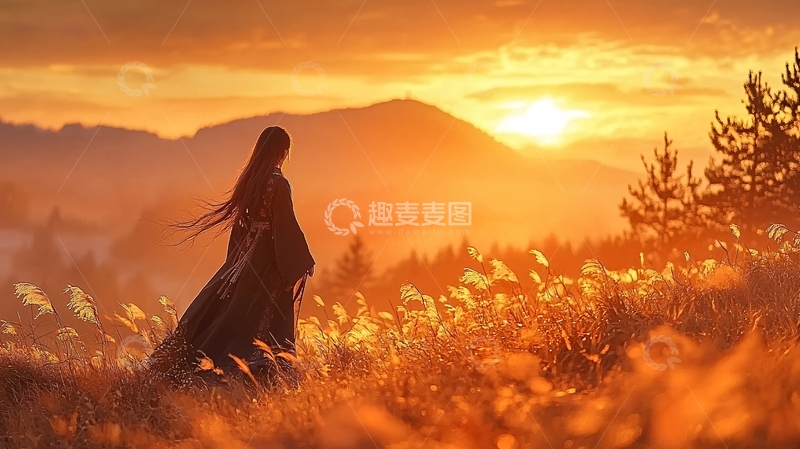 高清大图下载【趣麦麦图】夕阳下孤独的背影