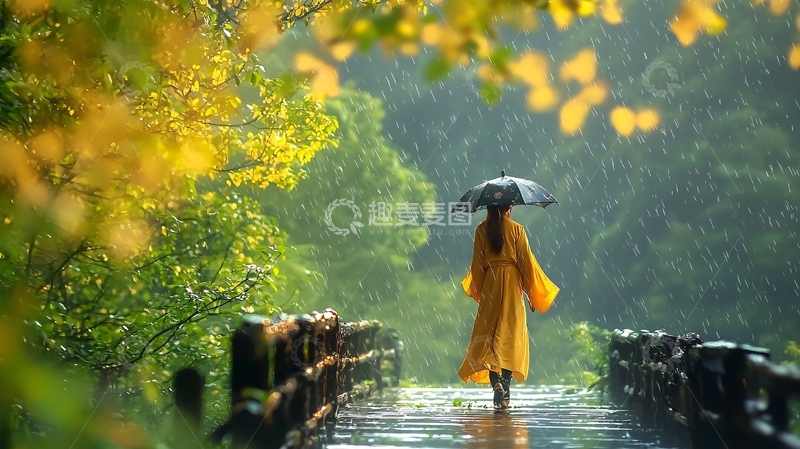 高清大图下载【趣麦麦图】雨中漫步的背影