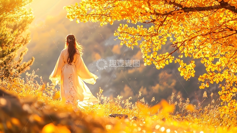 高清大图下载【趣麦麦图】秋日阳光下高清图片