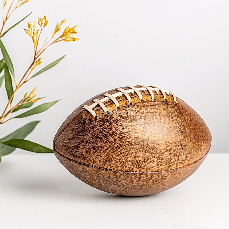 高清大图下载【趣麦麦图】橄榄球静物特写