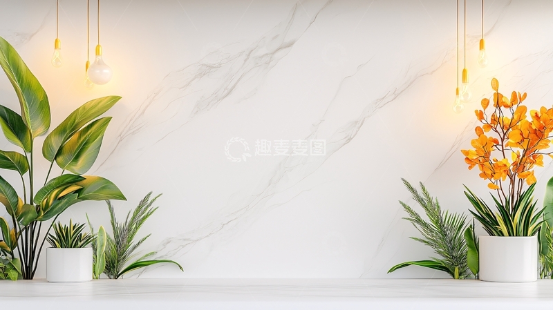 高清大图下载【趣麦麦图】室内绿植装饰背景