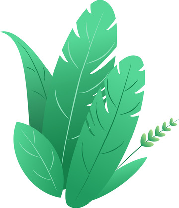 绿植插画/素材