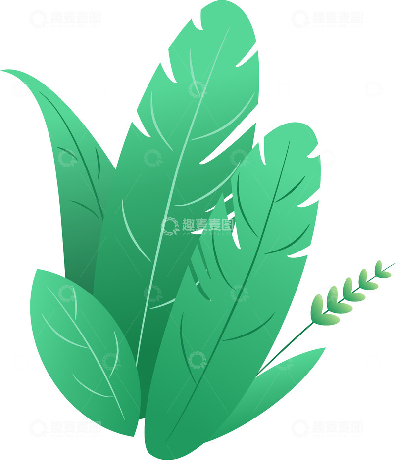 高清大图下载【趣麦麦图】绿植插画/素材